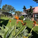 Maison Dans Les Arbres Piscine Clim Luxe Вилла *