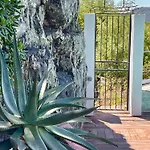 Maison Dans Les Arbres Piscine Clim Luxe